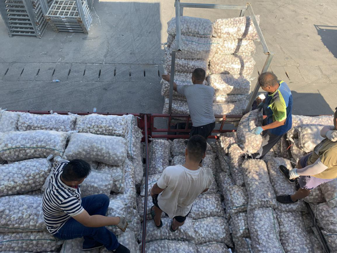 1566540141196389.png 1566540141196389.png