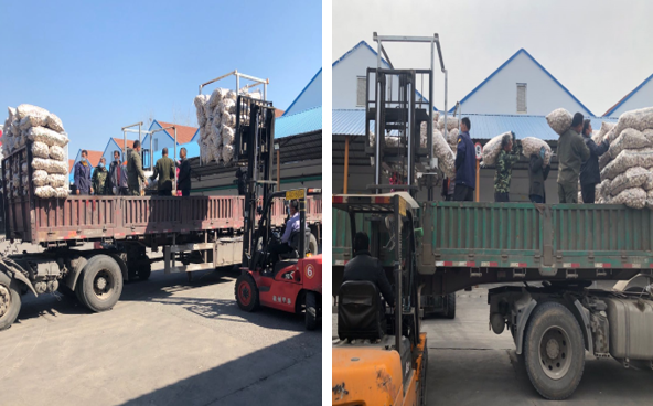 1585011806148338.png 1585011806148338.png