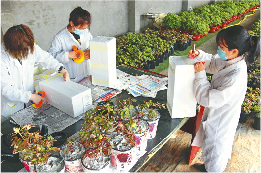 1586393315333017.jpg 1586393315333017.jpg