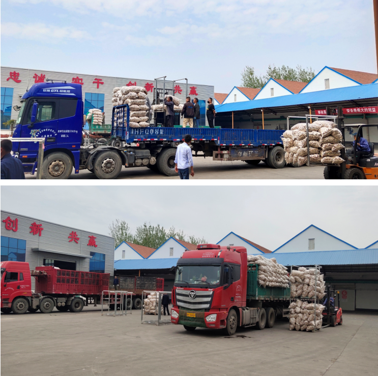 1587705584176640.png 1587705584176640.png