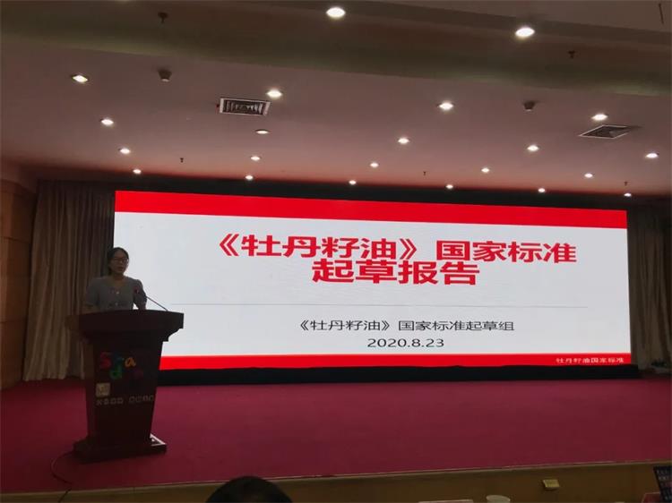 1598317702176503.jpg 13.webp.jpg