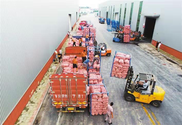 1611717057124495.jpg 1611717057124495.jpg